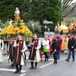 Ansiedade Animal: Tratamentos ajudam a garantir o bem estar do seu pet.