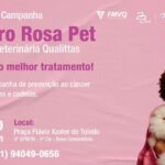Higienização doméstica é a principal arma contra escorpiões