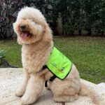 Plaza Sul Shopping sorteará moto em sua campanha de Dia dos Pais