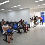 Qualittas lança o primeiro curso integrado de Clínica e Cirurgia de Felinos do Brasil